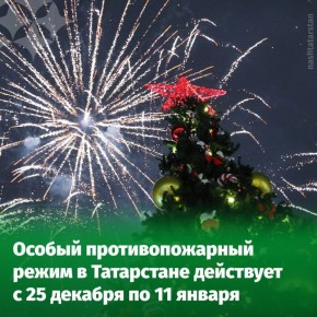 Напоминаем всем любителям запускать салюты - с 25 декабря по 11 января в Татарстане ограничено использование пиротехнических изделий 3 класса опасности