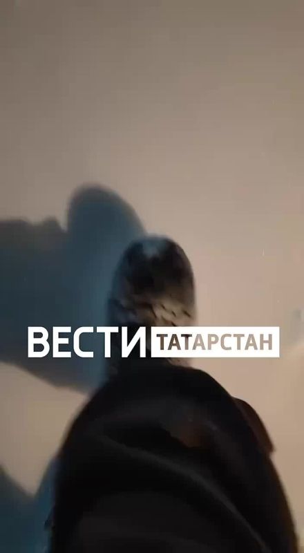 ������ �������� ������ ������ �� ���� ����������� ���� � ����