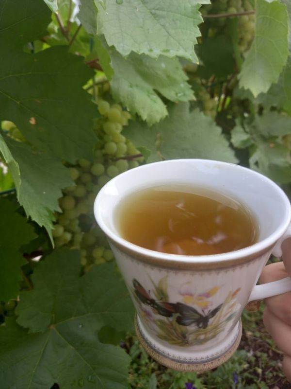 ����� � �������� � �����: �������� ��� ���� ������������� �������� ��� � �����