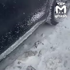 �������� ������ �� ������ ������ � �����������