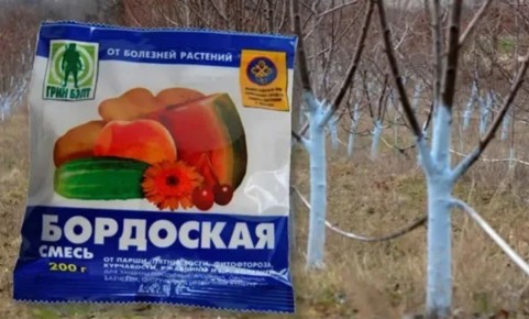 ��������� �����: ������� ������� ������ ����� �� ��������