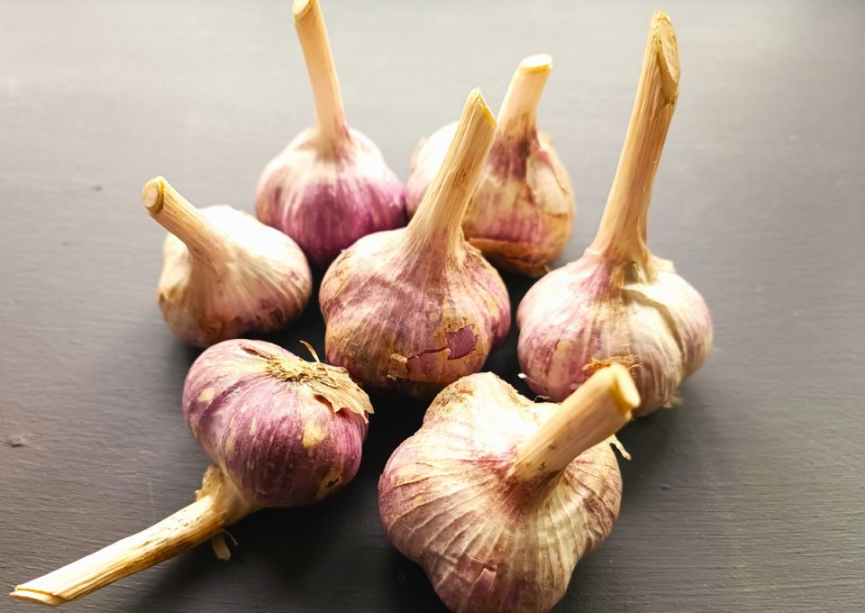 5 ������, ������� ������� ��������� ������ �� �����