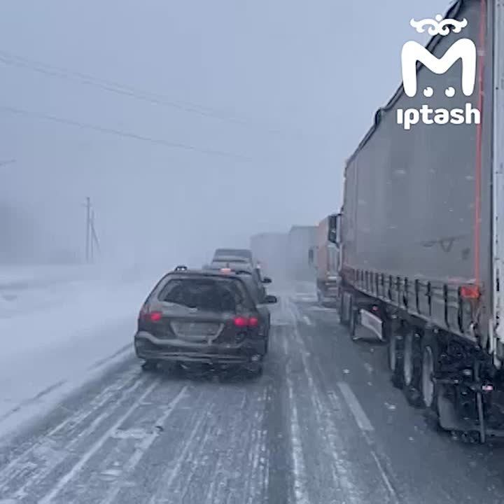 ���� �� ����� ��������� � ���� �� ������ �-12 ������ � �����