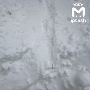 ������������ ������� �������� ������ � ��������