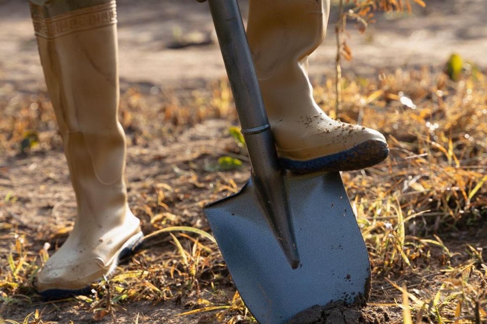 ����� ������ ������������ ������: ���������� ���� � �������� � ����