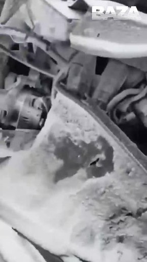 ������� ���� ����� �� ����������� ������� ����� ��������, ����������, ����� �� � ��������� �������