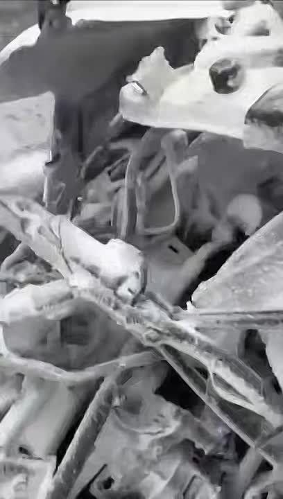 ������ �������� ������� � ��� ���� ���������� �� ����� �������� ������ � ����������, �������� ������� ���