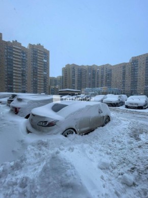 ��� ����� ������ �������� ������