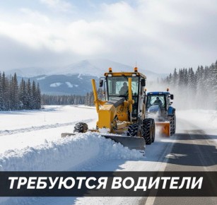 ��� ����� ���������� �� ������ �� ��������� ���������: