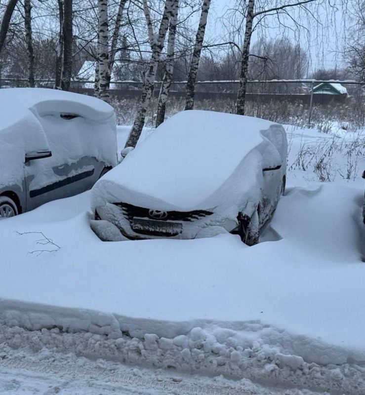 ���������� ������ ������� ������������ �������� ���� ���������� � ������� ��� ��������� ���������