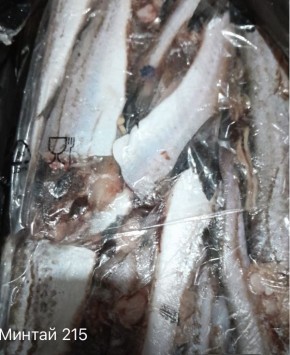 Каждый год о пенсии: почему увеличение на 280 рублей вызывает столько вопросов?