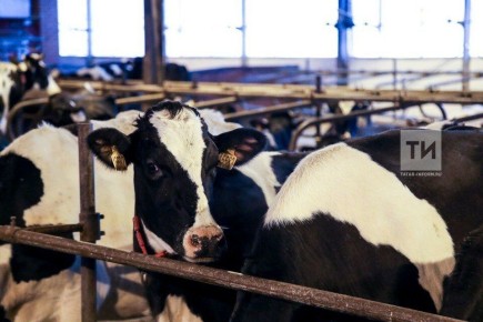 � ���������� � 2025 ���� ��������� ��������� 2,37 ��� ���� ������