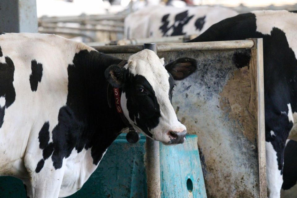 ��������� �� 2025 ��� �������� ����� 2,3 ��� ���� ������, ��������� ����� ������