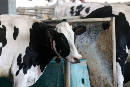 ��������� �� 2025 ��� �������� ����� 2,3 ��� ���� ������, ��������� ����� ������