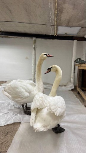 ������ ������������ ����� ������ ������������� �������-�������