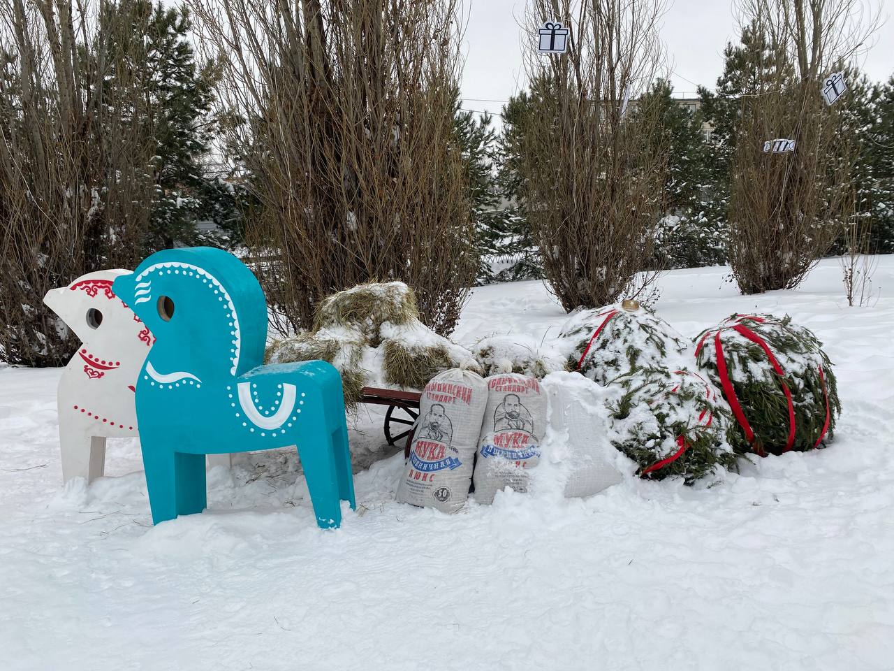 В парке «Сосновая роща» погоды не боятся В парке «Сосновая роща» погоды не боятся