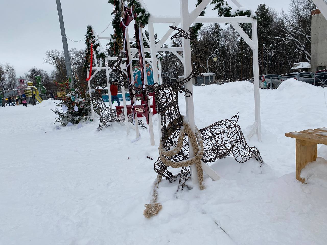 В парке «Сосновая роща» погоды не боятся В парке «Сосновая роща» погоды не боятся