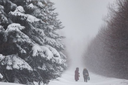 В Татарстане прогнозируют слабую метель и ветер до 14 м/с