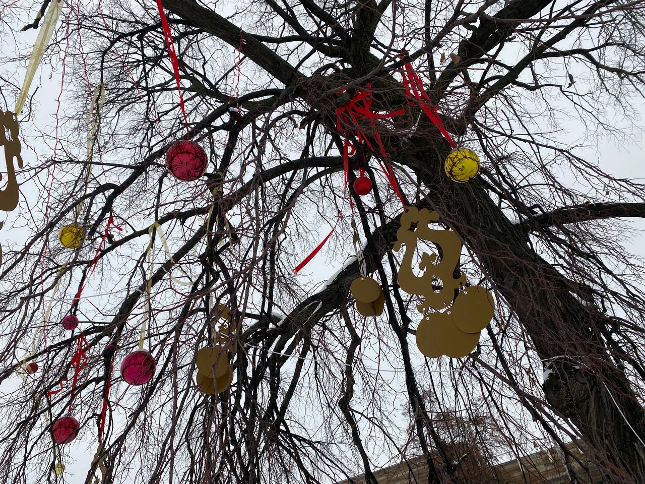 В парке «Сосновая роща» погоды не боятся В парке «Сосновая роща» погоды не боятся