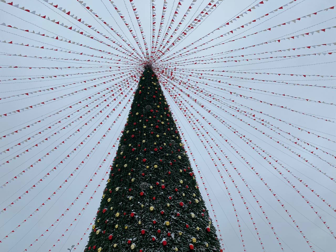 В парке «Сосновая роща» погоды не боятся В парке «Сосновая роща» погоды не боятся