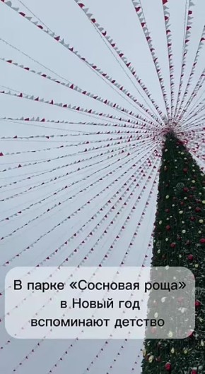 В парке «Сосновая роща» очень красивая елка и множество новогодних атрибутов