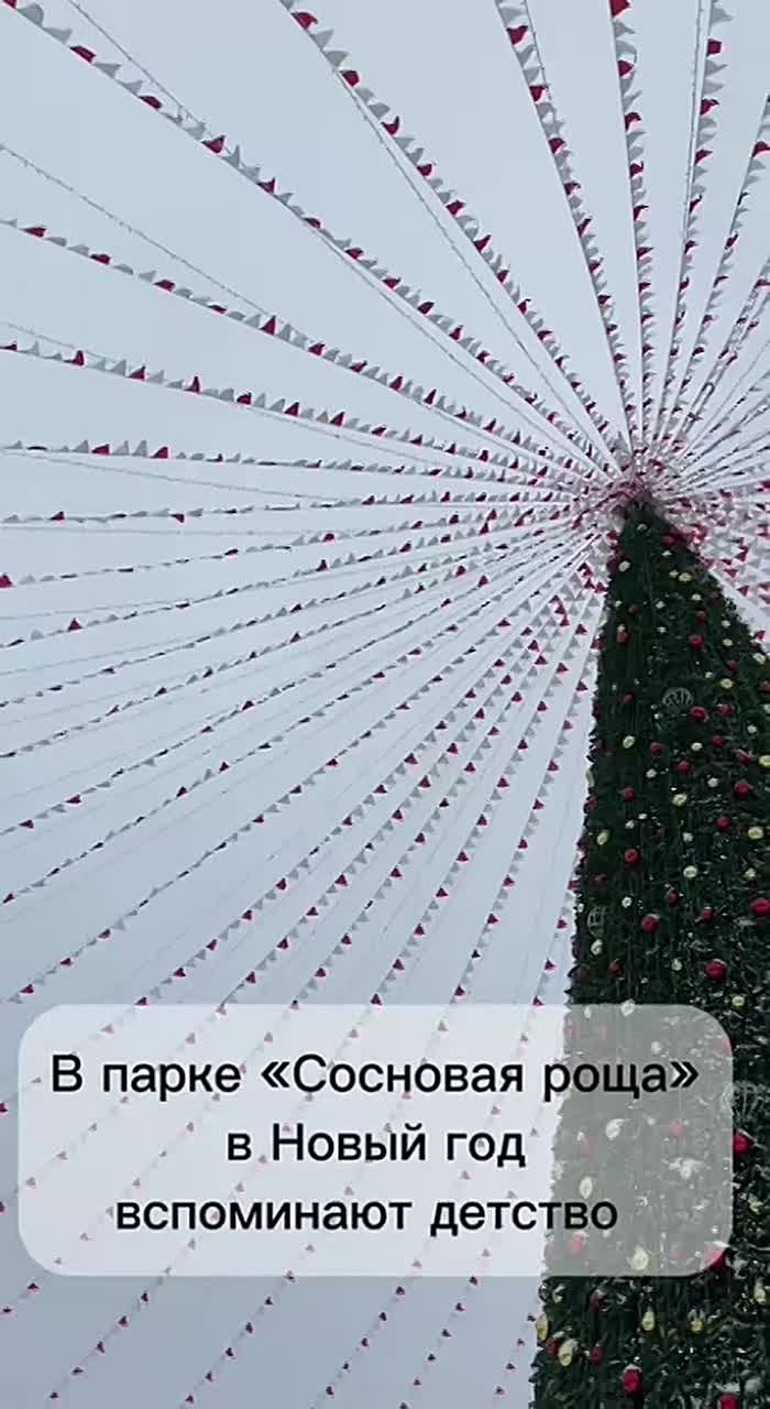 В парке «Сосновая роща» очень красивая елка и множество новогодних атрибутов