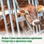 В Татарстане выросло молочное производство