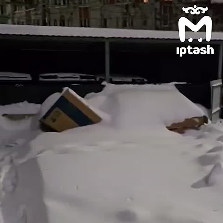 ������ ������ �������� �� �������������� � ��� �� ������� ����� � �� ������ ������