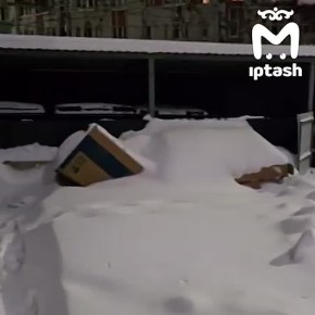 ������ ������ �������� �� �������������� � ��� �� ������� ����� � �� ������ ������