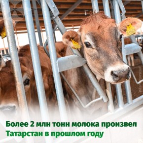 � ���������� ������� �������� ������������