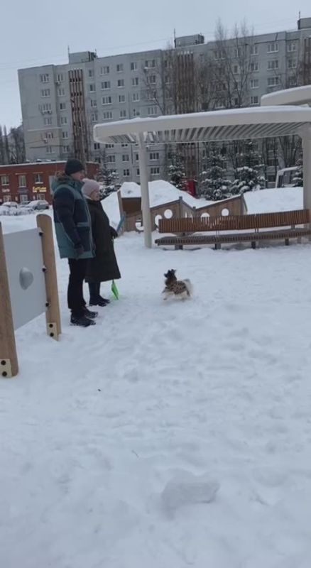 ������ ���������� �� �������� ��. ������ - ��� �����, �����, �������� �� ��������� �����! ��� ������� �������, ��� ���� ������� ���������, ������� � ������� ��������� �� ���� �������