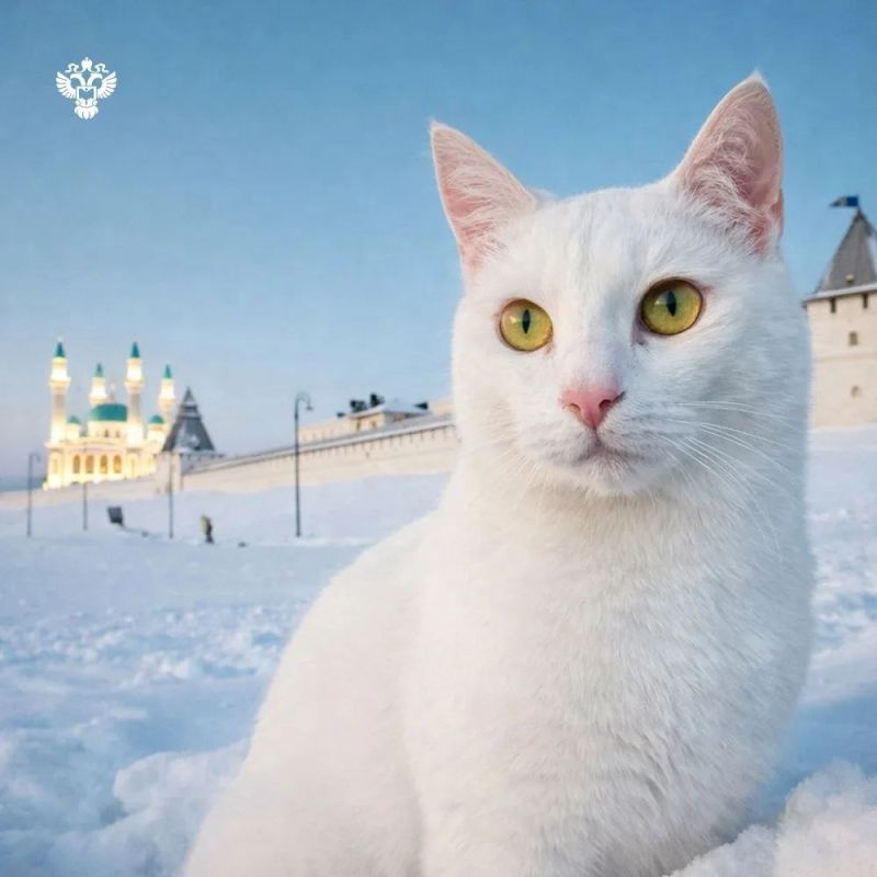 Привет! На связи Федя – я снова в пути