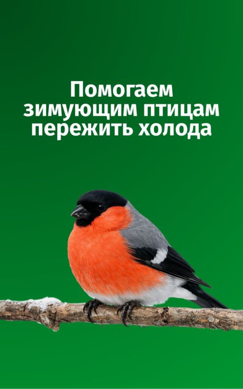 ������ �� ��, ����� ��� ������� ��� �������� ����?