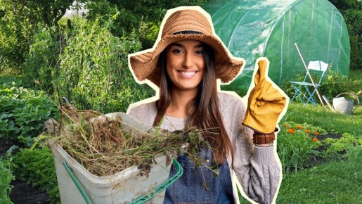 �������� ��� ������� �� ����: ������ �������� ���� �������� �����������