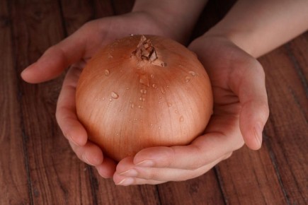 ������ ���: �� ������� �� ���������� ������