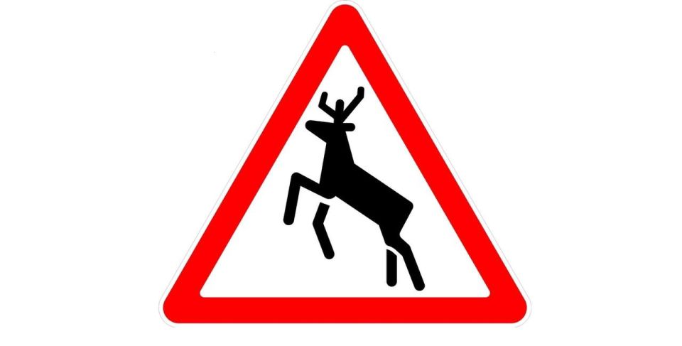 ������ �����������! �� ������ ����� ��������� ����� ��������!