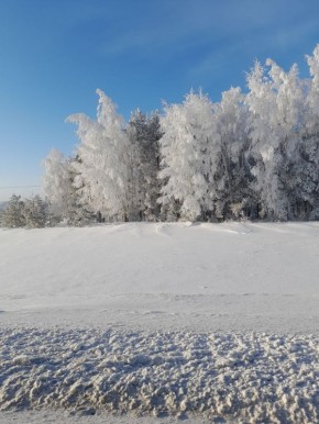 ���� � ��������������� ������ ������, ��� ������� ����� ����� �������� ����