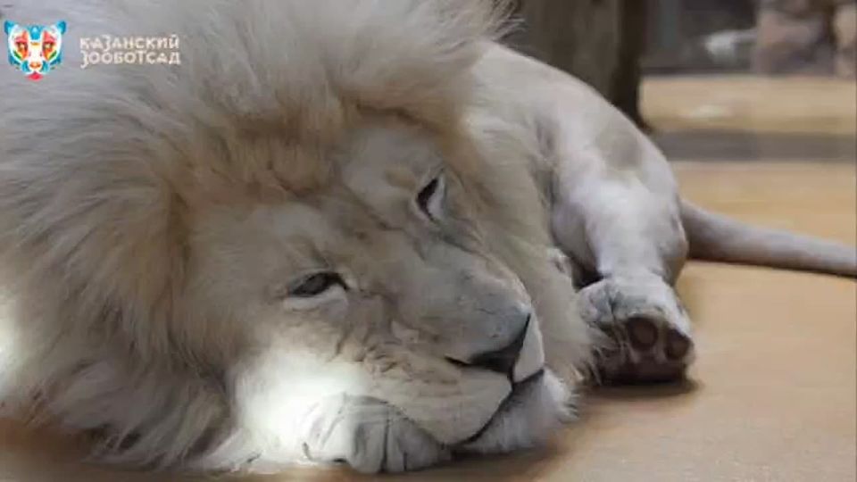 ���� ���������� ���������� ���: ���� �� �����������