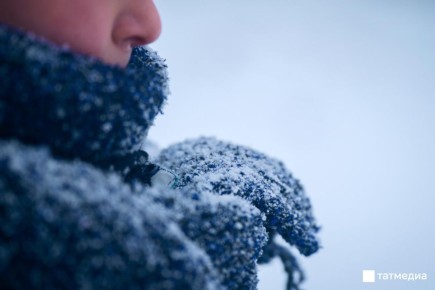 ��������� ����������� ��������� � ���������� � �������� ������