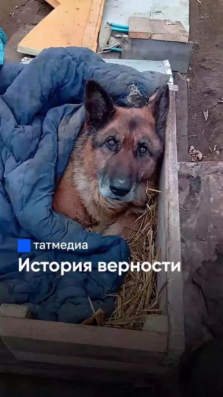 �������� �� ������: ������ ���������� ��� ����� �������� �� ���� �� �����