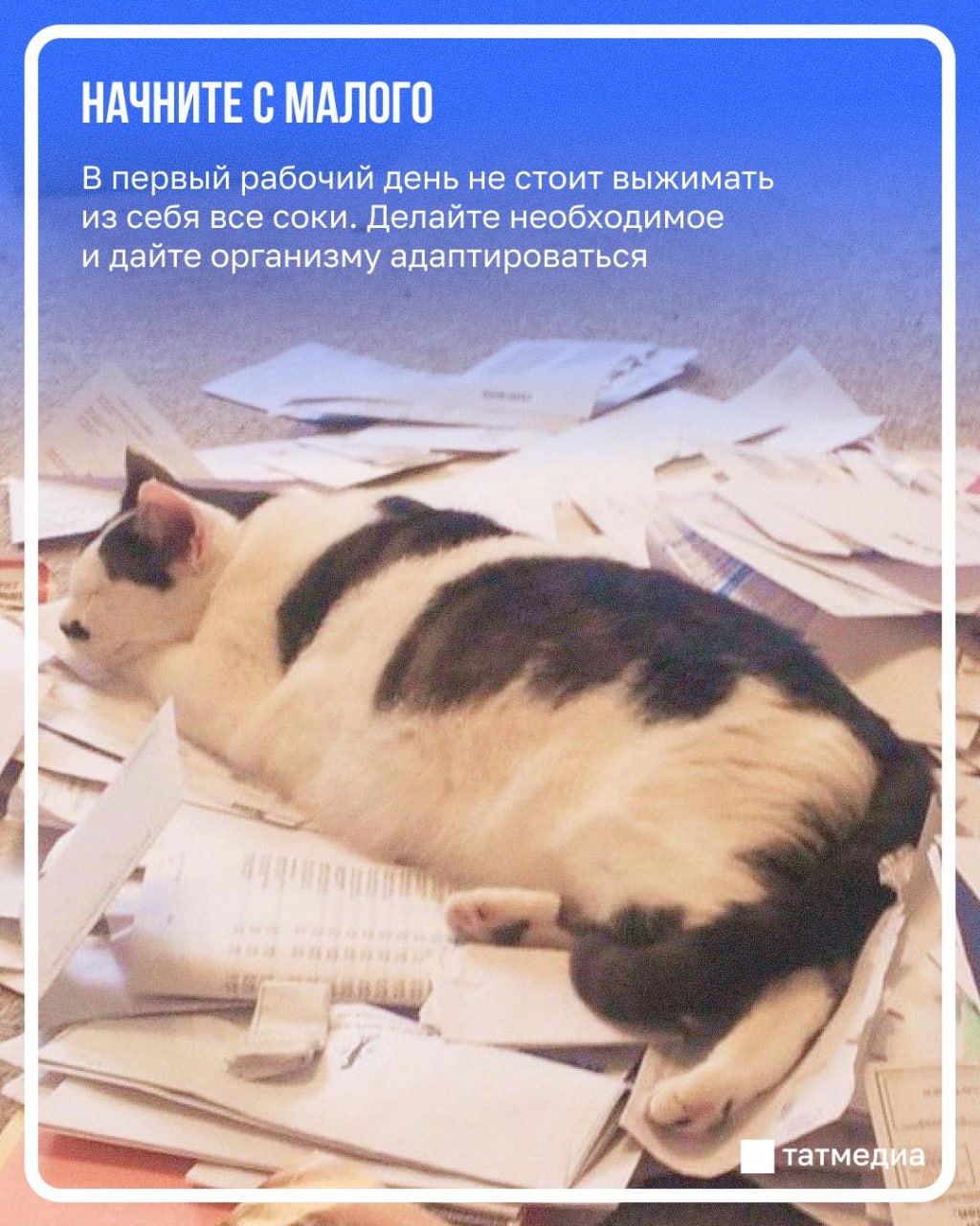 Праздники закончились, а рабочее настроение не появилось? Праздники закончились, а рабочее настроение не появилось?