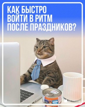Праздники закончились, а рабочее настроение не появилось?