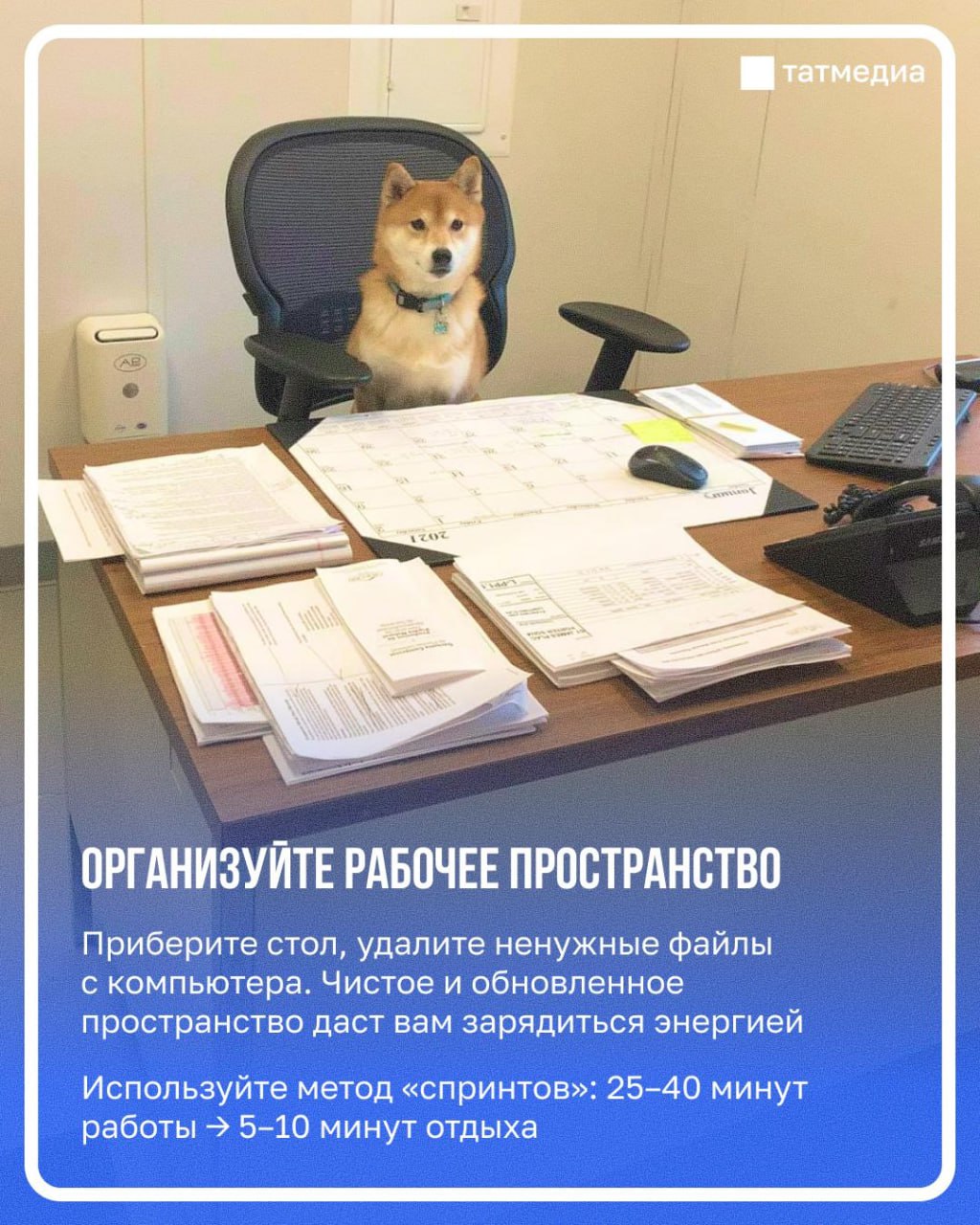 Праздники закончились, а рабочее настроение не появилось? Праздники закончились, а рабочее настроение не появилось?