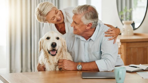 ������������� � ����� ������: ���� ������� ������ �� ��������� ��������