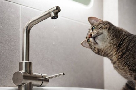 � ����-����������� ������ ������ �� ����� �������� ����