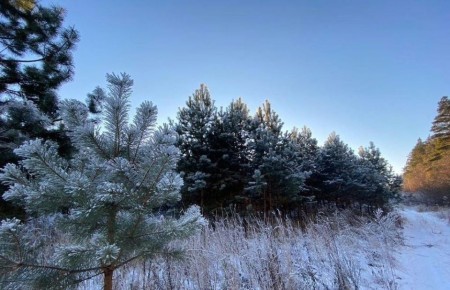 ������� ��������� �� -2 ��������, ����� � ������� ��� �� ���������