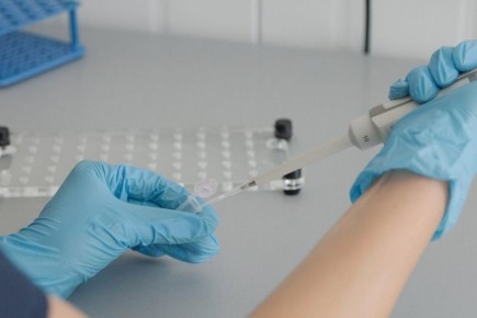 ������������ ����� ��� ������� ��������� ����� � ������� ��� � 2026 ����