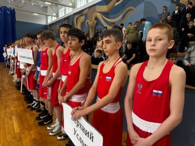 � ����������� ��������� ���������� ���������� �� ����� ����� ����������� 2010-2011 ����� ��������