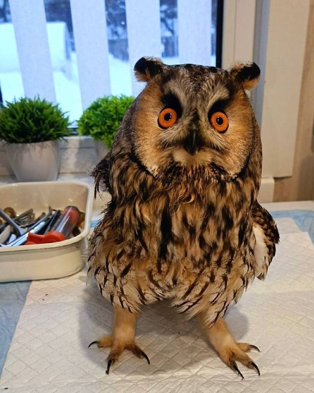 � ������ ��� ������ ������ ������������� ������ �������� ������� ����, ������������ � ������ ��������� ���� ���������� ����������� �����