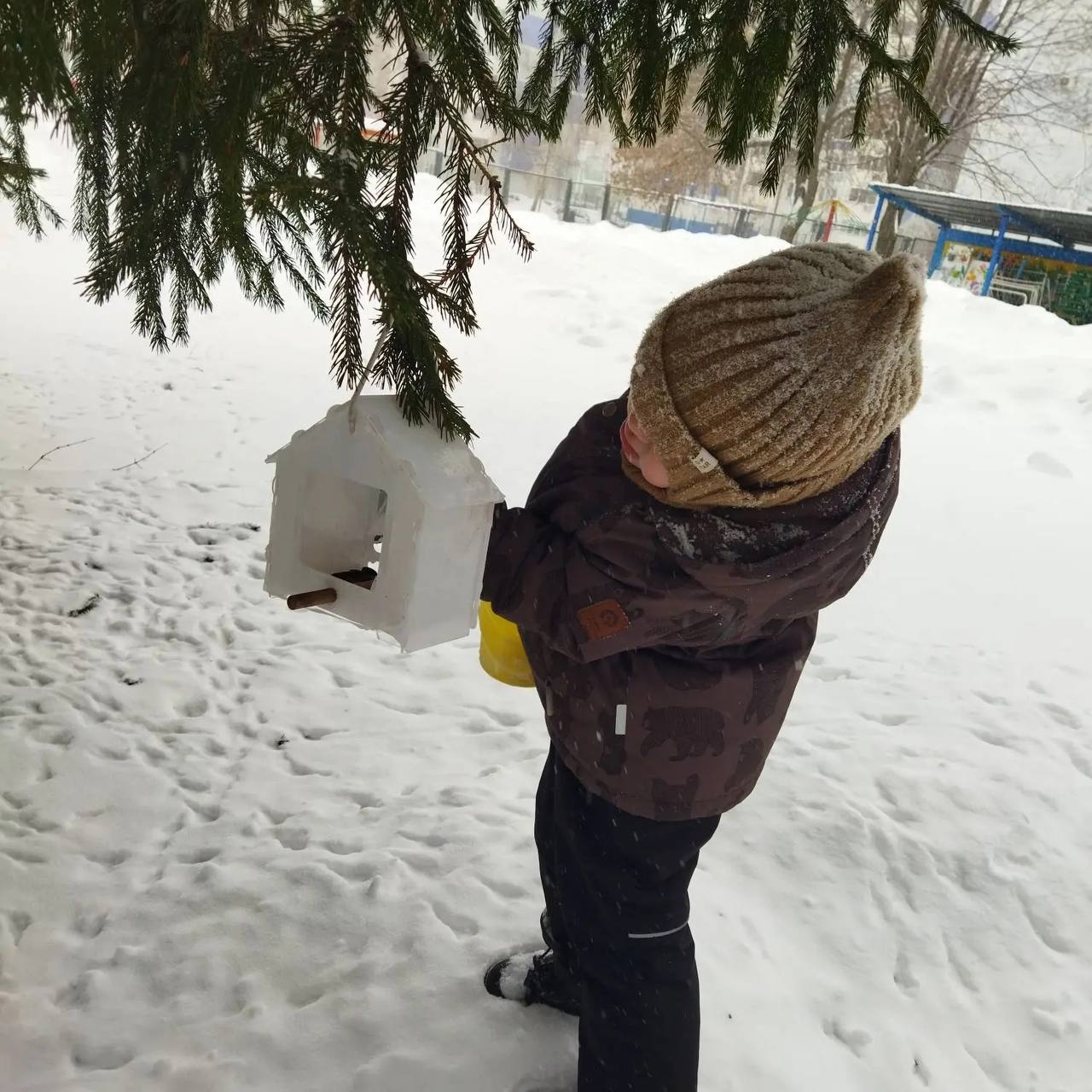 Зимняя забота о пернатых. Воспитанники детского сада №86 с заботой развесили на своих участках кормушки, наполнив их угощением для пернатых гостей Зимняя забота о пернатых. Воспитанники детского сада №86 с заботой развесили на своих участках кормушки, наполнив их угощением для пернатых гостей